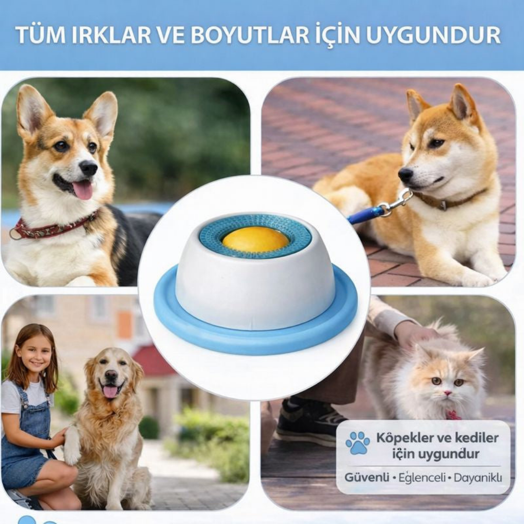 Aurgona™ Sakinleştirici Yalama Kabı